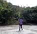 Paisaje. Los amantes de la naturaleza pueden disfrutar de varios bosques protectores ubicados en Guayaquil. Para muchos, estos son paraísos escondidos entre el cemento.