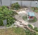 Tala de árboles en la ciudadela Entre Ríos