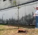 Tala de árboles en la ciudadela Entre Ríos