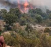 El incendio de La Mierla, en Guadalajara, se encuentra "fuera de su capacidad de extinción" y está lejos de ser controlado.