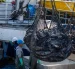 El atún y otros productos pesqueros se beneficiarían del TLC con Canadá.