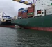 Hasta mayo de este año, el país exportó 2.610 millones de dólares a Estados Unidos.