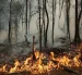 Fotografia referencial de los  incendios forestales  Las altas temperaturas y los vientos dificultan las labores de control de los incendios forestales.