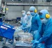 La carne de cerdo consta entre los 10 alimentos con mayor peso en el gasto de los hogares ecuatorianos, según el INEC.