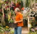 Más de 25.000 ejemplares de orquídeas se expondrán durante la primera feria botánica de Ecuador.