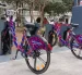 QuitoBici iniciará su marcha blanca con 250 bicicletas públicas, disponibles mediante Cuenta Ciudad para promover una movilidad sostenible en Quito.