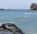Formaciones rocosas en la costa, mientras la vida marina enfrenta riesgos por el aumento de la temperatura del océano.