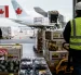 El TLC con Canadá abrirá nuevas oportunidades para las exportaciones ecuatorianas de flores, cacao, berries, brócoli y alimentos procesados.