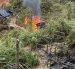 La minería ilegal se convierte en una gran economía criminal cuando el oro se compra o se vende como si fuera legal. Destruir maquinaria o desalojar campamentos es necesario, pero no suficiente.