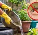 Eliminar el agua acumulada ayuda a prevenir la reproducción del mosquito que transmite el dengue.