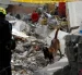 Un perro de rescate trabaja en una jornada de búsqueda en una zona afectada por el terremoto este 12 de agosto de 2026, en Cali (Colombia).