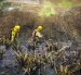 La vegetación seca y la baja humedad aumentan el riesgo de propagación del fuego en varias provincias del país. En Quito, en Pichincha, esta semana se han registrado varios incendios.
