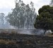Vista de un incendio forestal en medio de altas temperaturas en Sibate, cerca de Bogotá, Colombia, el 3 de agosto de 2026.