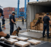 Policías inspeccionan un contenedor en el puerto de Guayaquil, donde hallaron 1,2 toneladas de cocaína ocultas en cargamentos de banano con destino a España.