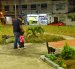 La maleza crecida y el desgaste en los juegos infantiles dificultan el uso recreativo de parques en Pradera 1.