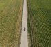 Una imagen tomada con un dron muestra a un hombre montando en bicicleta por campos de maíz.
