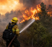 Bombero combate un incendio forestal mientras las llamas avanzan entre la vegetación.