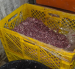 La inspección encontró residuos de sangre, carne y grasa en diferentes áreas del establecimiento.