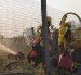 Ecuador reportó 1.314 incendios forestales entre julio y agosto; casi 9.800 hectáreas fueron afectadas.