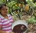 Las cooperativas llegan al campo y a los pequeños productores.