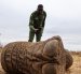 Lesidai Kipelian, guardabosques comunitario del rancho colectivo Olgulului-Ololarashi, fotografía los restos de Genghis Khan, un elefante macho de 11 años.