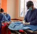 La campaña de esterilización se realizará el 29 de agosto en tres sectores de Quito.