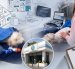 La Unidad de Bienestar Animal de Quito inspeccionó el lugar y obtuvo la versión de los directivos de la peluquería.