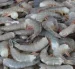 La CNA ha estimado anteriormente, que Ecuador podría exportar a mediano plazo 150 millones de libras de camarón a Brasil.