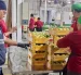 En 2025, Ecuador exportó alrededor de 14 millones de cajas de mango.