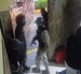 El forcejeo quedó registrado en las cámaras de seguridad.