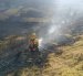 Bomberos controlaron el incendio forestal registrado en Ontaneda Alta, Conocoto, y realizan labores de enfriamiento en puntos calientes.