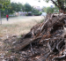El parque Antonio Neumane tiene diversidad de flora y fauna, pero sus instalaciones necesitan mantenimiento y mejoras.