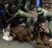 Un equipo del Servicio de Vida Silvestre de Kenia (KWS) capturó un cocodrilo del Nilo con redes en el lago Baringo, el 2 de septiembre de 2026.
