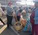 El mercado América en Tunguahua donde se venden una variedad de animales.