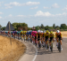 Ciclistas durante la decimoséptima etapa de La Vuelta a España, de 185 kilómetros de recorrido entre Dos Hermanas y Sevilla.