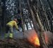 El incendio en el cerro Guagualzhumi afectó a cuatro hectáreas de vegetación.
