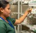 IESS tiene 73 % de medicinas y busca llegar al 80 % con compras centralizadas.