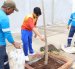 Estudiantes, docentes y padres de familia participaron en la siembra de 44 árboles nativos en la avenida Ángel Calderón Muñoz, en Mucho Lote 2.