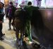 Quito ejecutó controles simultáneos en seis administraciones zonales, con participación municipal, policial y militar para fortalecer la seguridad ciudadana y el orden.
