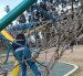 Los juegos del parque de Los Eucaliptos están en avanzado estado de deterioro con cuerdas rotas y hierros oxidados.