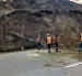 Los árboles quedaron en riesgo de caer en un tramo de la avenida Velasco Ibarra.