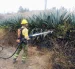 En San Juan de Chuspiyacu, en Tumbaco, se registró un incendio forestal, Días después ocurrió otra emergencia por una quema de follaje.