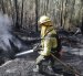 El incendio forestal consumió cinco hectáreas de vegetación en La Vicentina e Itchimbía, en el centro-norte de Quito.