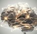 Cada vez que un estímulo activa un recuerdo, reactivamos una red de impulsos en el cerebro para crear un nuevo producto.