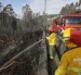 El incendio en La Vicentina afectó a cinco hectáreas de vegetación.