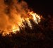 La emergencia registrada en La Vicentina generó una columna de humo visible desde varios sectores de Quito durante la jornada.