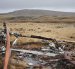 Un excombatiente argentino observa los escombros dejados por la guerra, este miércoles en Islas Malvinas.