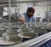 La industria del atún está afectada por la escasez del pescado, por el calentamiento del mar.