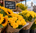Las flores amarillas toman protagonismo en Quito este 21 de septiembre, una tradición que combina romance, amistad y alegría entre quienes las regalan.