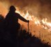 El incendio forestal en el cerro Casitagua afectó alrededor de 300 hectáreas, según informó el Municipio de Quito.